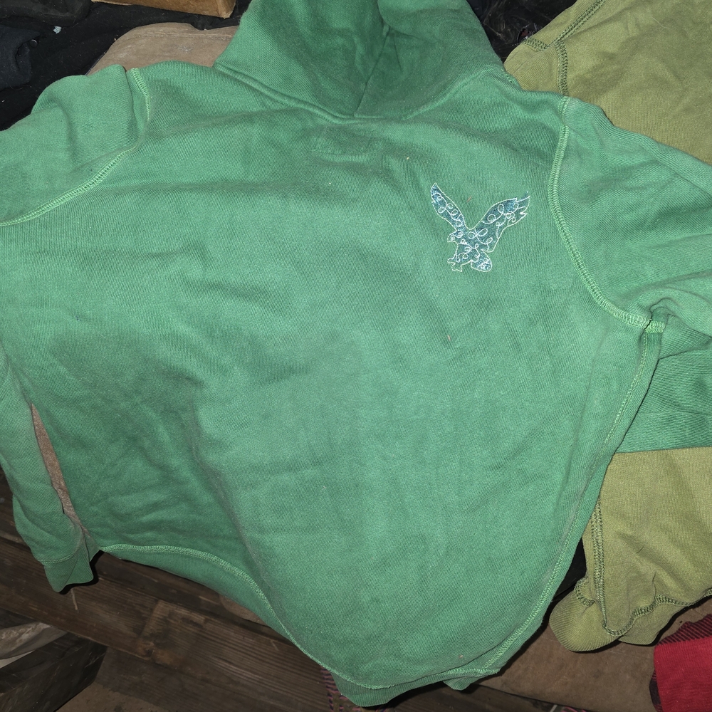 American Eagle Outfitters Vibrant Green Hoodie  & Abercrombie And Fitch... - Picture 7 of 9
